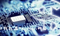 全面解析TP钱包在Polygon网络上的应用与优势