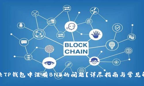 如何解决TP钱包中没有BNB的问题？详尽指南与常见解决方案
