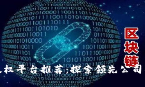 区块链版权平台推荐:探索领先公司及其服务