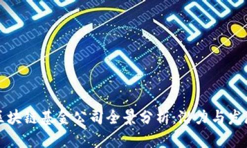 杨浦区块链基金公司全景分析：潜力与发展现状